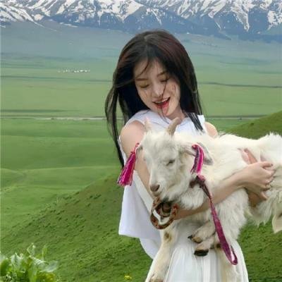 长风少年词