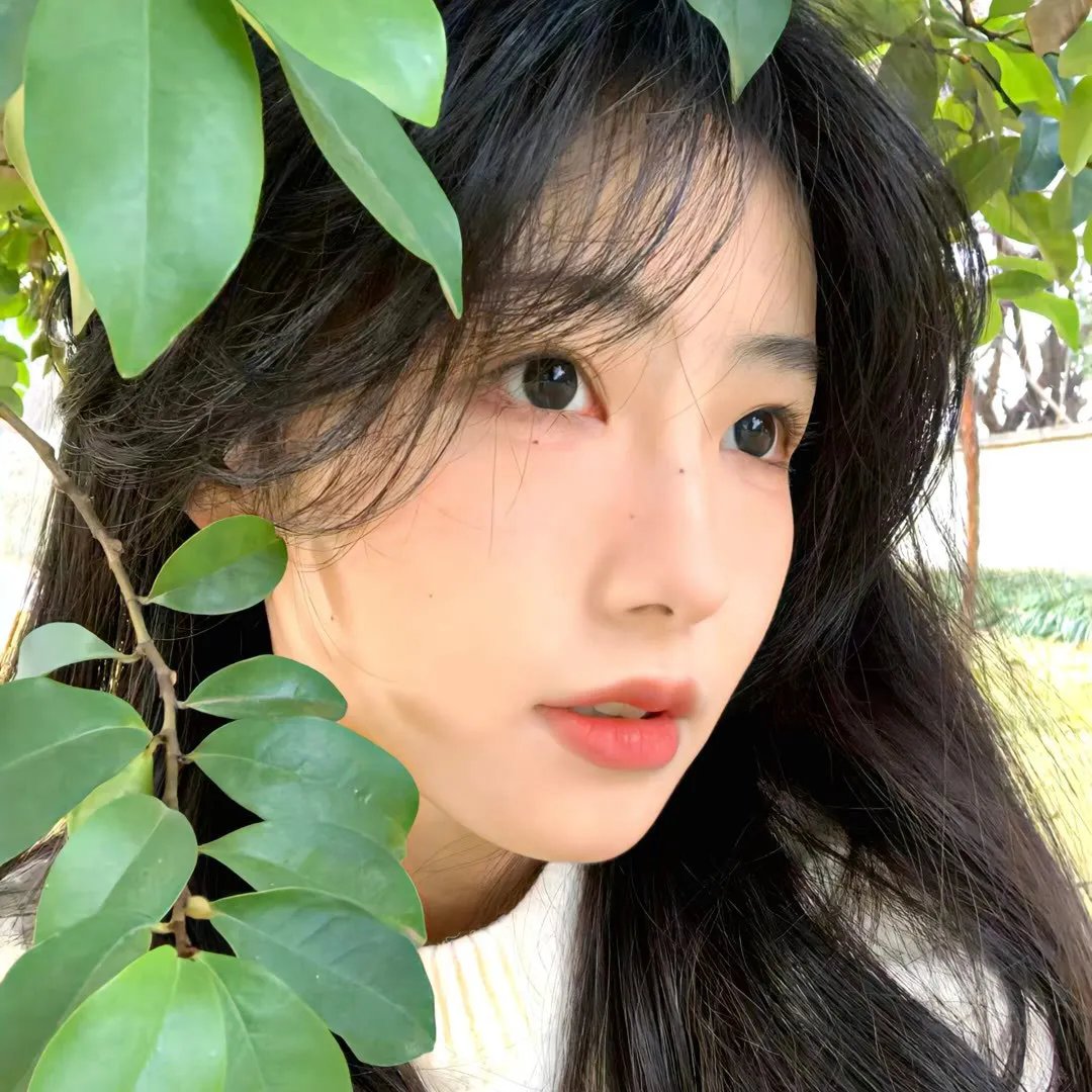 花蕊恋春风