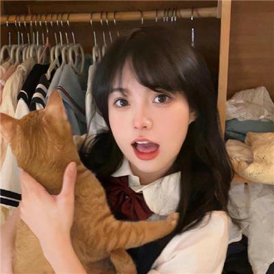 白宫也疯狂